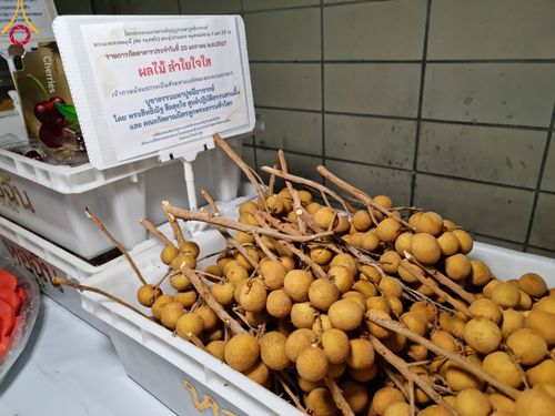 ภาพ No.115699:พิธีถวายภัตตาหารเป็นสังฆทาน แด่คณะพระธรรมยาตรา ปีที่ 12 วันที่ 20 มกราคม พ.ศ. 2567 ณ วัดโบสถ์(บน) บางคูเวียง จ.นนทบุรี