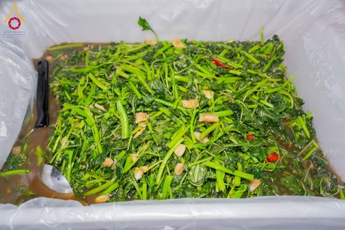 ภาพ No.300274:วันที่ 22 มกราคม พ.ศ. 2569 พิธีถวายภัตตาหารเป็นสังฆทาน แด่พระธรรมยาตรา ณ อนุสรณ์สถานบางปลา วัดบางปลา อำเภอบางเลน จังหวัดนครปฐม ในโครงการธรรมยาตรา กตัญญูบูชา มหาปูชนียาจารย์ พระมงคลเทพมุนี(สด จนฺทสโร) พระผู้ปราบมาร อนุสรณ์สถาน 7 แห่ง ปีที่ 14