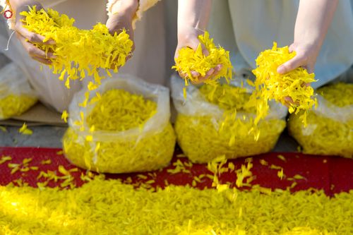 ภาพ No.292759:วันที่ 11 มกราคม พ.ศ. 2569 พิธีต้อนรับพระธรรมยาตรา ณ อนุสรณ์สถานลำดับที่ 3 สถานที่เกิดในเพศสมณะ วัดสองพี่น้อง อำเภอสองพี่น้อง จังหวัดสุพรรณบุรี ในโครงการธรรมยาตรา กตัญญูบูชา มหาปูชนียาจารย์ พระมงคลเทพมุนี(สด จนฺทสโร) พระผู้ปราบมาร อนุสรณ์สถาน 7 แห่ง ปีที