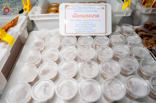 ภาพ No.298540:วันที่ 20 มกราคม พ.ศ. 2569 พิธีถวายภัตตาหารเป็นสังฆทาน แด่พระธรรมยาตรา ณ อนุสรณ์สถานบางปลา วัดบางปลา อำเภอบางเลน จังหวัดนครปฐม ในโครงการธรรมยาตรา กตัญญูบูชา มหาปูชนียาจารย์ พระมงคลเทพมุนี(สด จนฺทสโร) พระผู้ปราบมาร อนุสรณ์สถาน 7 แห่ง ปีที่ 14