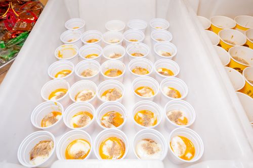 ภาพ No.306353:วันที่ 30 มกราคม พ.ศ. 2569 พิธีถวายภัตตาหารเป็นสังฆทาน แด่พระธรรมยาตรา ณ วัดพระธรรมกาย  จังหวัดปทุมธานี ในโครงการธรรมยาตรา กตัญญูบูชา มหาปูชนียาจารย์ พระมงคลเทพมุนี(สด จนฺทสโร) พระผู้ปราบมาร อนุสรณ์สถาน 7 แห่ง ปีที่ 14