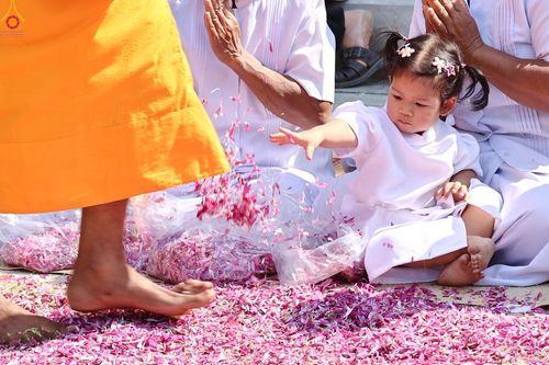 ภาพ No.304788:วันที่ 25 มกราคม พ.ศ. 2569 พิธีต้อนรับพระธรรมยาตรา (ภาพชุดที่ 2) รร.สามัคคีราษฏร์บำรุง-วัดพระธรรมกาย ในโครงการธรรมยาตรา กตัญญูบูชา มหาปูชนียาจารย์ พระมงคลเทพมุนี(สด จนฺทสโร) พระผู้ปราบมาร อนุสรณ์สถาน 7 แห่ง ปีที่ 14