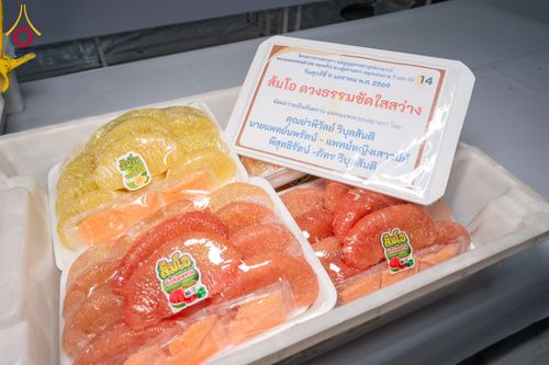 ภาพ No.290862:วันที่ 9 มกราคม พ.ศ. 2569 พิธีถวายภัตตาหารเป็นสังฆทาน แด่พระธรรมยาตรา ณ อนุสรณ์สถานคลองบางนางแท่น อ.สามพราน จ.นครปฐม ในโครงการธรรมยาตรา กตัญญูบูชา มหาปูชนียาจารย์ พระมงคลเทพมุนี(สด จนฺทสโร) พระผู้ปราบมาร อนุสรณ์สถาน 7 แห่ง ปีที่ 14