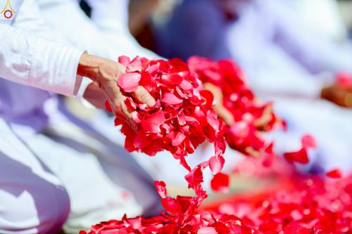 ภาพ No.279535:วันที่ 2 มกราคม พ.ศ.2569 พิธีต้อนรับพระธรรมยาตรา ครั้งที่ 1 ณ วัดพระธรรมกาย (วิหารหลวงปู่ - พระมหาธรรมกายเจดีย์)