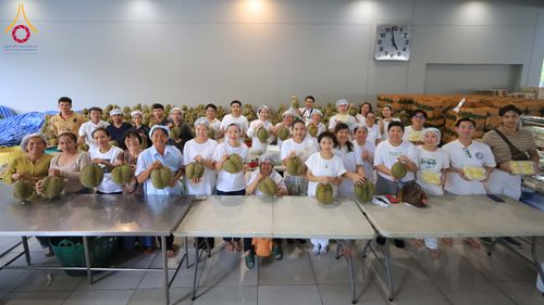 ภาพ No.323550:วันที่ 21 เมษายน 2569 ปอกทุเรียน 26 ตัน 75,000 กล่อง เตรียมงานถวายสังฆทาน40000กว่าวัดทั่วประเทศ