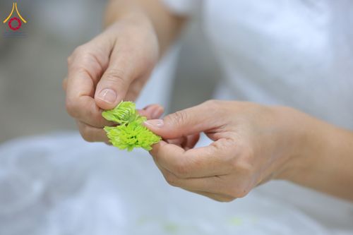 ภาพ No.303271:วันที่ 15-21 มกราคม พ.ศ.2569 ปลิดกลีบดอกเบญจทรัพย์ เพื่อโปรยต้อนรับพระธรรมยาตรา ในโครงการธรรมยาตรา กตัญญูบูชา มหาปูชนียาจารย์ พระมงคลเทพมุนี(สด จนฺทสโร) พระผู้ปราบมาร อนุสรณ์สถาน 7 แห่ง ปีที่ 14 ณ วิหารคด วัดพระธรรมกาย