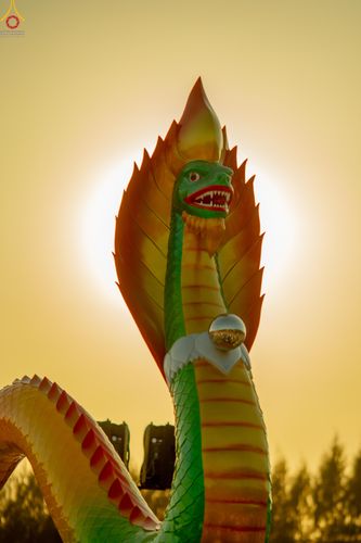 ภาพ No.302102:วันที่ 23 มกราคม พ.ศ. 2569 พิธีจุดประทีปธรรมถวายเป็นพุทธบูชา และบูชาธรรมมหาปูชนียาจารย์  ณ อนุสรณ์สถานลำดับที่ 5 สถานที่เผยแผ่วิชชาธรรมกายครั้งแรก อนุสรณ์สถานบางปลา วัดบางปลา อำเภอบางเลน จังหวัดนครปฐม ในโครงการธรรมยาตรา กตัญญูบูชา มหาปูชนียาจารย์ พระมงคล