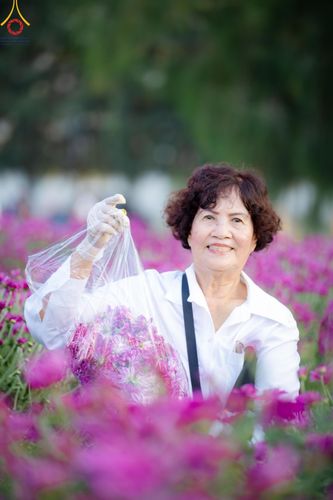 ภาพ No.186257:จิตอาสาอนุรักษ์สิ่งแวดล้อม รับบุญเก็บดอกเบญจทรัพย์ เพื่องานต้อนรับพระธรรมยาตรา ณ "ทุ่งสวรรค์ ตะวันฉาย" วัดพระธรรมกาบ วันที่ 22 ธันวาคม พ.ศ. 2567