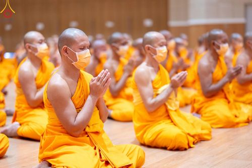 ภาพ No.124340:โครงการปฏิบัติธรรมพิเศษ ของพระธรรมยาตรา และพิธีมอบของขวัญสุดพิเศษ ณ World peace Valley เขาใหญ่ วันพุธที่ 21 กุมภาพันธ์ พ.ศ. 2567