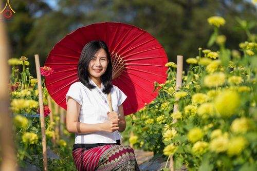 ภาพ No.104296:บรรยากาศ ทุ่งดอกทรัพย์บานชื่น ณ สวนพนาวัฒน์ อ.ฮอด จ.เชียงใหม่ ช่วงระหว่างวันที่ 20 - 25 ธันวาคม พ.ศ. 2566