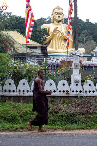 ภาพ No.139377:พิธีตักบาตรรอบเมืองดัมบุลล่า เทศกาลวิสาขบูชาแห่งชาติ ศรีลังกา เมื่อวันที่ 16 พฤษภาคมที่ผ่านมา คณะสงฆ์จากวัดพระธรรมกาย และคณะพระภิกษุสามเณรศรีลังกา ในโครงการสยาม-ลังกา ธรรมยาตรา ฉลองเทศกาลวิสาขบูชาแห่งชาติ ศรีลังกา บูชาธรรม 80 ปีหลวงพ่อธัมมชโย