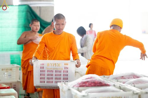 ภาพ No.187239:สาธุชน เจ้าหน้าที่ ร่วมบุญปลิดกลีบดอกไม้ เพื่อโปรยต้อนรับพระธรรมยาตรา ตั้งแต่วันที่ 26 ธันวาคม พ.ศ. 2567 ณ วิหารคด 31 วัดพระธรรมกาย