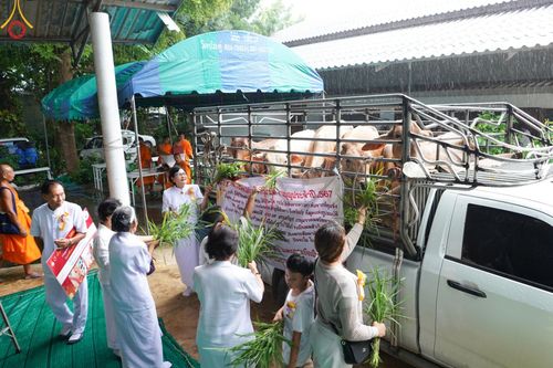 ภาพ No.152353:พิธีถวายมหาสังฆทานแด่พระภิกษุสงฆ์จำนวน 400 รูป ปีที่ 20 ณ ศูนย์อบรมเยาวชนผาสุกวนิช จ.ราชบุรี วันเสาร์ที่ 31 สิงหาคม พ.ศ. 2567