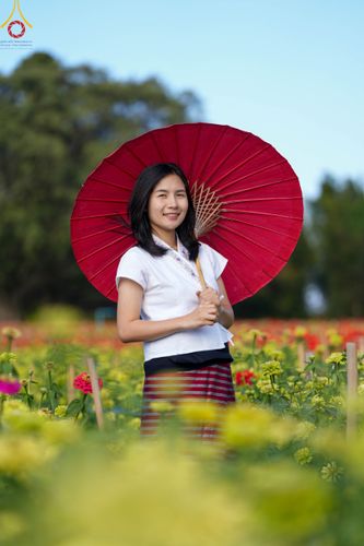 ภาพ No.104320:บรรยากาศ ทุ่งดอกทรัพย์บานชื่น ณ สวนพนาวัฒน์ อ.ฮอด จ.เชียงใหม่ ช่วงระหว่างวันที่ 20 - 25 ธันวาคม พ.ศ. 2566