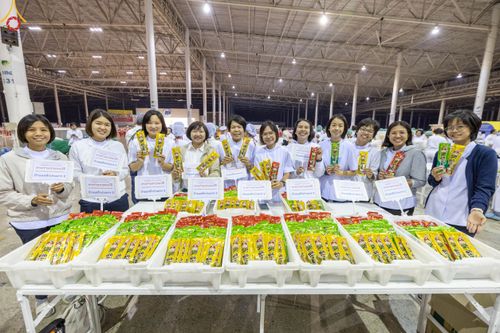 ภาพ No.188157:พิธีถวายภัตตาหารเป็นสังฆทาน แด่พระธรรมยาตรา ในโครงการธรรมยาตรา กตัญญูบูชา มหาปูชนียาจารย์ พระมงคลเทพมุนี(สด จนฺทสโร) พระผู้ปราบมาร อนุสรณ์สถาน 7 แห่ง ปีที่ 13 ณ สภาธรรมกายสากล วัดพระธรรมกาย วันที่ 2 มกราคม พ.ศ. 2568