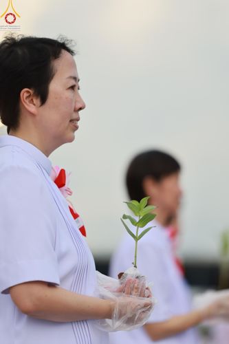 ภาพ No.160409:พิธีปลูกต้นทรัพย์บานชื่น ณ ลานธรรม พระมหาธรรมกายเจดีย์ วัดพระธรรมกาย จ.ปทุมธานี วันพฤหัสบดีที่ 10 ตุลาคม พ.ศ. 2567