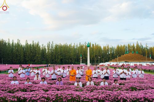 ภาพ No.102933:สาธุชนร่วมรับบุญเก็บดอกเบญจทรัพย์ ในวันที่ 19 ธันวาคม พ.ศ. 2566 (วันแรก) ณ บริเวณวัดพระธรรมกาย จ.ปทุมธานี