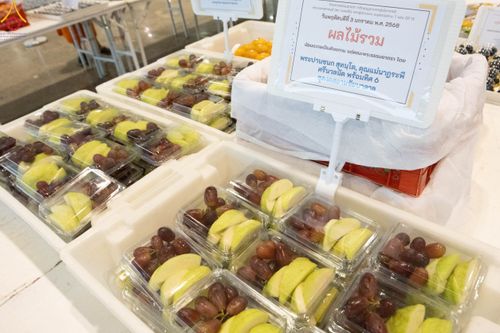 ภาพ No.188526:พิธีถวายภัตตาหารเป็นสังฆทาน แด่พระธรรมยาตรา ในโครงการธรรมยาตรา กตัญญูบูชา มหาปูชนียาจารย์ พระมงคลเทพมุนี(สด จนฺทสโร) พระผู้ปราบมาร อนุสรณ์สถาน 7 แห่ง ปีที่ 13 ณ สภาธรรมกายสากล วัดพระธรรมกาย วันที่ 3 มกราคม พ.ศ. 2568