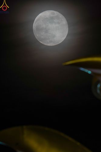 ภาพ No.91668:พิธีทอดผ้าป่า สร้างลานเอนกประสงค์พญานาค 4 ตระกูล จุดประทีปโคมลาน ถวายเป็นพุทธบูชา  สร้างความสว่างไสวให้กับแผ่นดินด้วยแสงธรรม วันอาทิตย์ที่ 29 ตุลาคม พ.ศ. 2566 ณ พุทธอุทยานนานาชาติ จังหวัดหนองคาย