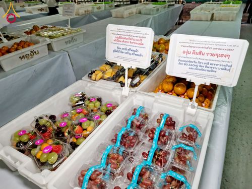 ภาพ No.119079:พิธีถวายภัตตาหารเป็นสังฆทาน แด่คณะพระธรรมยาตรา วันที่ 27 มกราคม พ.ศ. 2567 ณ อนุสรณ์สถานบางปลา จ.นครปฐม