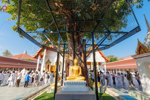 ภาพ No.189585:พิธีทอดผ้าป่าทำนุบำรุงศาสนสถาน ในโครงการธรรมยาตรา กตัญญูบูชา มหาปูชนียาจารย์ พระมงคลเทพมุนี(สด จนฺทสโร) พระผู้ปราบมาร อนุสรณ์สถาน 7 แห่ง ปีที่ 13 ณ วัดสองพี่น้อง ต.ต้นตาล อ.สองพี่น้อง จ.สุพรรณบุรี วันที่ 5 มกราคม พ.ศ. 2568