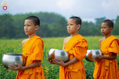 ภาพ No.217949:วันศุกร์ที่ 11 เมษายน พ.ศ. 2568 พระและสามเณร 99 รูป จากศูนย์ปฏิบัติธรรมระยอง(บ้านช่องลม) บิณฑบาต ณ ทุ่งปอเทือง ต.บางบุตร อ.บ้านค่าย จ.ระยอง เพื่อเป็นการฝึกสามเณรภาคฤดูร้อน ผ่านกิจวัตรบิณฑบาตในพื้นที่ชุมชน