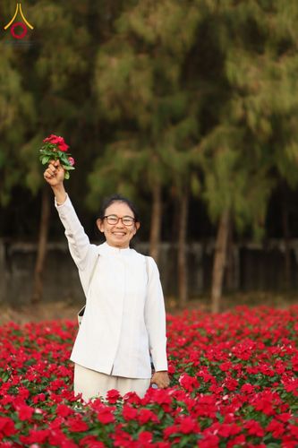 ภาพ No.185478:กิจกรรมเก็บดอกแพงรวย วันอาทิตย์ที่ 22 ธันวาคม พ.ศ. 2567 ณ ทุ่งสวรรค์ ตะวันฉาย วัดพระธรรมกาย