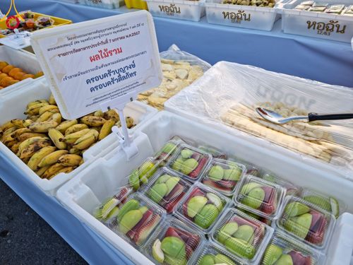 ภาพ No.108465:ถวายภัตตาหารเป็นสังฆทาน แด่คณะพระธรรมยาตราฯ ในโครงการธรรมยาตรากตัญญูบูชา มหาปูชนียาจารย์ พระมงคลเทพมุนี(สด จนฺทสโร) พระผู้ปราบมาร อนุสรณ์สถาน 7 แห่ง ปีที่ 12 วันที่ 7 มกราคม พ.ศ. 2567 ณ อนุสรณ์สถานโลตัสแลนด์ จ.สุพรรณบุรี