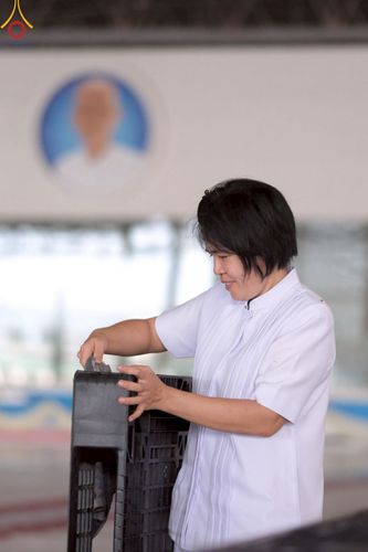 ภาพ No.214346:วันที่ 29 มีนาคม พ.ศ.2568 กิจกรรมใส่ถุงซิปกล่องไทยธรรม เพื่อรักษาความประณีตของกล่องไทยธรรม ในทุกสภาพอากาศ ณ บ้านแก้วเรือนทองคุณยาย วัดพระธรรมกาย