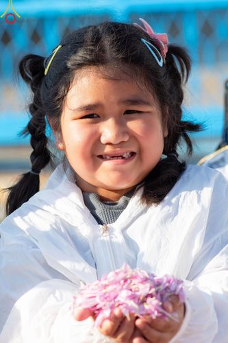 ภาพ No.206236:HAPPY FACE @ธรรมยาตรา # 1 ในโครงการธรรมยาตรา กตัญญูบูชา มหาปูชนียาจารย์ พระมงคลเทพมุนี(สด จนฺทสโร) พระผู้ปราบมาร อนุสรณ์สถาน 7 แห่ง ปีที่ 13 ระหว่างวันที่ 2-31 มกราคม พ.ศ. 2568