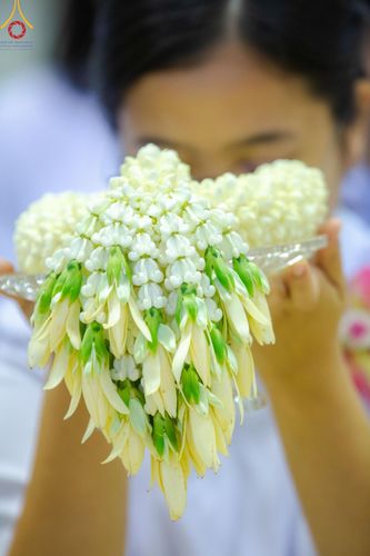 ภาพ No.154418:พิธีบูชาครูผู้ค้นพบวิชชาธรรมกาย ณ สภาธรรมกายสากล วัดพระธรรมกาย วันอังคารที่ 17 กันยายน พ.ศ. 2567