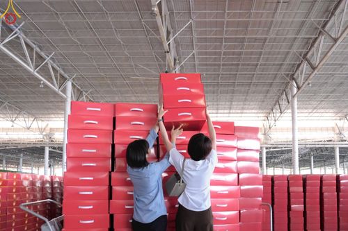 ภาพ No.211020:วันที่ 15 มีนาคม พ.ศ. 2568  บุญบรรจุกล่องไทยธรรม เพื่อถวายแด่พระสังฆาธิการ 40,000 กว่าวัดทั่วไทย ในวันคุ้มครองโลก 22 เมษายน พ.ศ. 2568