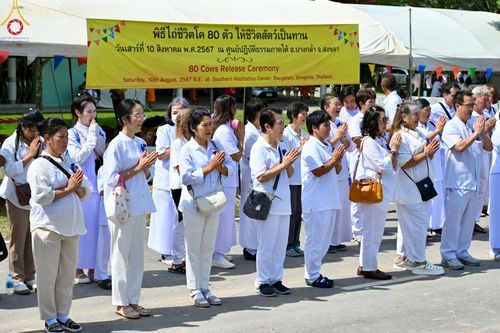 ภาพ No.148732:พิธีบุพเปตพลี, พิธีทอดผ้าป่า, พิธีไถ่ชีวิตโค 80 ตัว ให้ชีวิตสัตว์เป็นทาน ณ ศูนย์ปฎิบัติธรรมภาคใต้ อ.บางกล่ำ จ.สงขลา วันเสาร์ที่ 10 สิงหาคม พ.ศ. 2567