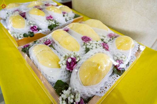 ภาพ No.240098:วันเสาร์ที่ 23 สิงหาคม พ.ศ. 2568 (วันพระ แรม 14 ค่ำ เดือน 9) พิธีบุพเปตพลี ครั้งที่ 169 ร่วมอุทิศบุญแด่หมู่ญาติที่ล่วงลับไปแล้ว และสืบทอดอายุพระพุทธศาสนา ณ หอฉันคุณยายอาจารย์ฯ วัดพระธรรมกาย