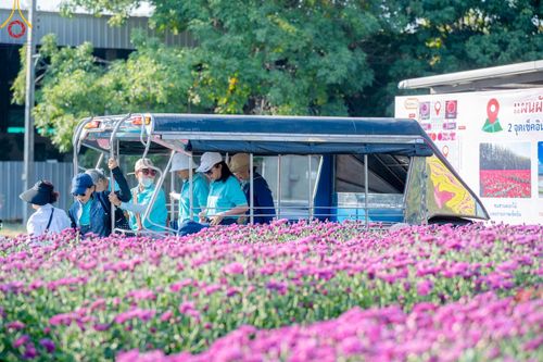 ภาพ No.186315:จิตอาสาอนุรักษ์สิ่งแวดล้อม รับบุญเก็บดอกเบญจทรัพย์ เพื่องานต้อนรับพระธรรมยาตรา ณ "ทุ่งสวรรค์ ตะวันฉาย" วัดพระธรรมกาบ วันที่ 22 ธันวาคม พ.ศ. 2567