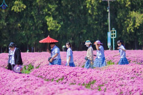 ภาพ No.104281:โครงการตอบปัญหาธรรมะทางก้าวหน้า ครั้งที่ 41 รอบชิงชนะเลิศระดับชาติ วันเสาร์ที่ 23 ธันวาคม พ.ศ. 2566 ณ ห้องแก้วสารพัดนึก วัดพระธรรมกาย จัดโดย ชมรมพุทธศาสตร์สากล