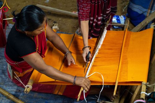 ภาพ No.98629:พิธีทอดกฐินสมทบวัดกัลยาณมิตรต่างประเทศ ณ วัดราชบัณนะวิหาร เมืองรังกามาติ ประเทศบังกลาเทศ วันศุกร์ที่ 24 พฤศจิกายน พ.ศ. 2566