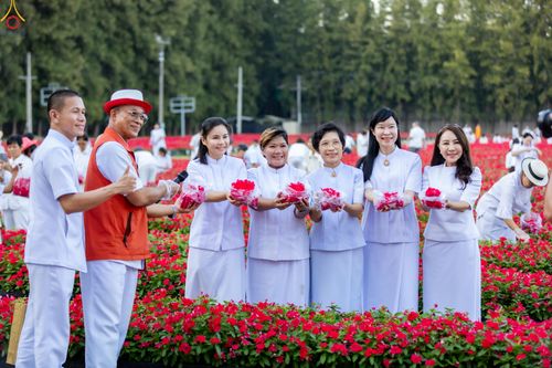 ภาพ No.281045:วันที่ 28 ธันวาคม พ.ศ.2568 กิจกรรมเก็บดอกแพงรวย ณ ทุ่งสวรรค์ตะวันฉาย วัดพระธรรมกาย