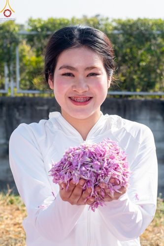 ภาพ No.206049:HAPPY FACE @ธรรมยาตรา # 1 ในโครงการธรรมยาตรา กตัญญูบูชา มหาปูชนียาจารย์ พระมงคลเทพมุนี(สด จนฺทสโร) พระผู้ปราบมาร อนุสรณ์สถาน 7 แห่ง ปีที่ 13 ระหว่างวันที่ 2-31 มกราคม พ.ศ. 2568