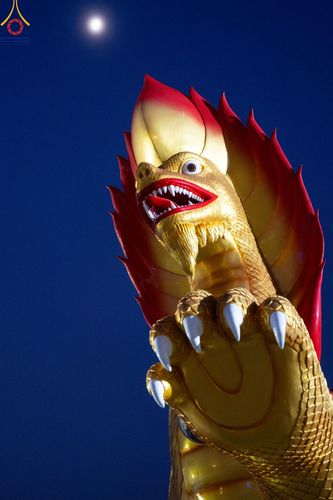 ภาพ No.198575:พระธรรมยาตราปฏิบัติธรรม และถ่ายภาพหมู่ประวัติศาสตร์ ณ อนุสรณ์สถานบางปลา วัดบางปลา อำเภอบางเลน จังหวัดนครปฐม ในโครงการธรรมยาตรา กตัญญูบูชา มหาปูชนียาจารย์ พระมงคลเทพมุนี(สด จนฺทสโร) พระผู้ปราบมาร อนุสรณ์สถาน 7 แห่ง ปีที่ 13 วันที่ 20 มกราคม พ.ศ. 2568