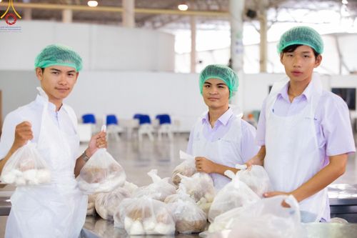 ภาพ No.58788:V.40 ภัตตาหารพระหมื่นวัด เราจัดให้ การปฏิบัติงานของเจ้าหน้าที่และอาสาสมัคร เพื่อรับบุญในการถวายภัตตาหาร แด่คณะสงฆ์ 10,000 กว่าวัดทั่วประเทศ ที่มาร่วมงานวันคุ้มครองโลก จันทร์ที่ 22 เมษายน พ.ศ. 2567 ณ วัดพระธรรมกาย