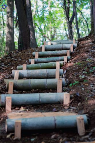 ภาพ No.136455:คณะพระภิกษุสงฆ์และกัลยาณมิตรชาวสิงคโปร์ เดินทางมาปฏิบัติธรรม ณ วัดป่าธรรมกายนานาชาติโทชิหงิ ประเทศญี่ปุ่น ระหว่างวันที่ 27 เมษายน  - 2 พฤษภาคม พ.ศ. 2567