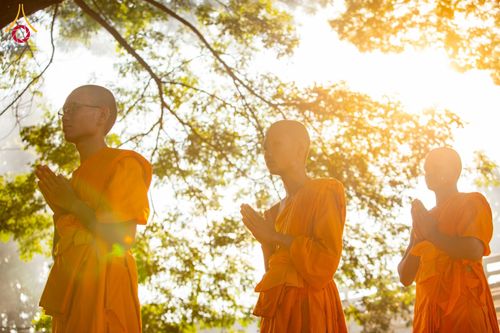 ภาพ No.181181:พิธีอุปสมบท ณ วัดพระเจ้าตนหลวง จังหวัดลำพูน ในโครงการอุปสมบทบูชาธรรมมหาปูชนียาจารย์ วันที่ 8 ธันวาคม พ.ศ. 2567