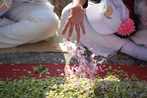 ภาพ No.195439:พิธีต้อนรับพระธรรมยาตรา ณ อนุสรณ์สถานลำดับที่ 4 สถานที่เกิดด้วยกายธรรม วัดโบสถ์(บน) ต.บางคูเวียง จ.นนทบุรี ในโครงการธรรมยาตรา กตัญญูบูชา มหาปูชนียาจารย์ พระมงคลเทพมุนี(สด จนฺทสโร) พระผู้ปราบมาร อนุสรณ์สถาน 7 แห่ง ปีที่ 13 วันที่ 15 มกราคม พ.ศ. 2568