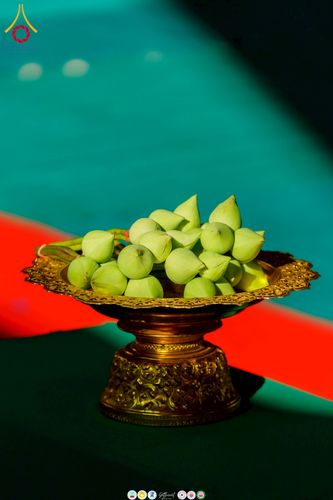 ภาพ No.276481:วันพุธที่ 3 ธันวาคม  พ.ศ. 2568 โครงการอุปสมบทหมู่ รุ่นบูชาธรรมมหาปูชนียาจารย์ 2568 ศูนย์อบรมเยาวชนผาสุกวานิช จังหวัดราชบุรี