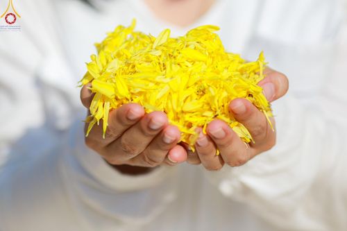 ภาพ No.116591:พิธีต้อนรับพระธรรมยาตรา ปีที่ 12 ณ อนุสรณ์สถานบางปลา จ.นครปฐม วันที่ 21 มกราคม พ.ศ. 2567