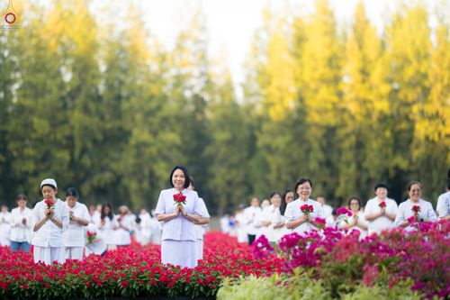 ภาพ No.280935:วันที่ 28 ธันวาคม พ.ศ.2568 กิจกรรมเก็บดอกแพงรวย ณ ทุ่งสวรรค์ตะวันฉาย วัดพระธรรมกาย