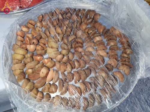 ภาพ No.200918:พิธีถวายภัตตาหารเป็นสังฆทาน แด่พระธรรมยาตรา ณ อนุสรณ์สถานบางปลา วัดบางปลา อำเภอบางเลน จังหวัดนครปฐม ในโครงการธรรมยาตรา กตัญญูบูชา มหาปูชนียาจารย์ พระมงคลเทพมุนี(สด จนฺทสโร) พระผู้ปราบมาร อนุสรณ์สถาน 7 แห่ง ปีที่ 13 วันที่ 24 มกราคม พ.ศ. 2568