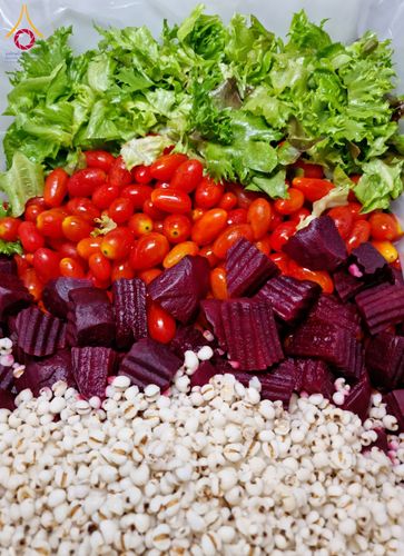 ภาพ No.120658:พิธีถวายภัตตาหารเป็นสังฆทาน แด่คณะพระธรรมยาตรา ปีที่ 12 วันที่ 29 มกราคม พ.ศ. 2567 ณ สภาธรรมกายสากล วัดพระธรรมกาย