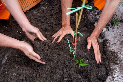 ภาพ No.92005:5 งานมหัคคตกุศล ณ วัดสิริวิเวก แขวงจำปาสัก สปป. ลาว วันที่ 1 พฤศจิกายน พ. ศ. 2566